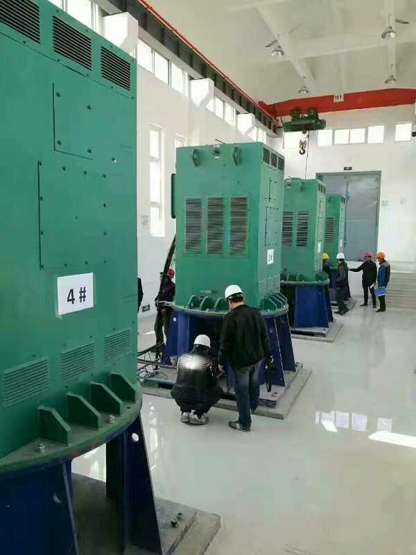 JR137-6某污水处理厂使用我厂的立式高压电机安装现场