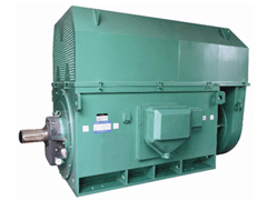 JR137-6YKK系列高压电机