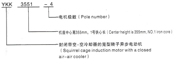 YKK系列(H355-1000)高压JR137-6三相异步电机西安泰富西玛电机型号说明